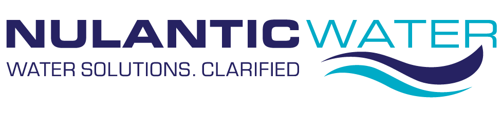 Nulantic Logo